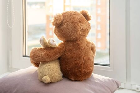 Best friends teddy bear and bunny toy sitting on window sill hugging each other and looking out of window. Back view. Love, family and friendship concept. の写真素材