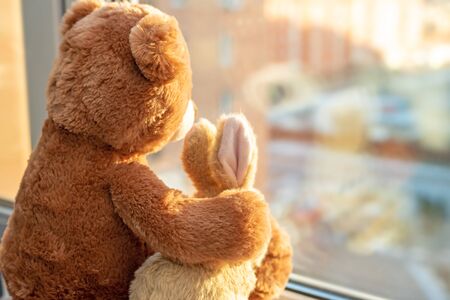 Best friends teddy bear and bunny toy sitting on window sill hugging each other and looking out of window on sun light. Love, family and friendship concept.の写真素材