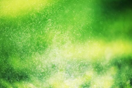 Blurred green grass and drops of morning fresh dew. Natural blurry meadow background. Springtime...