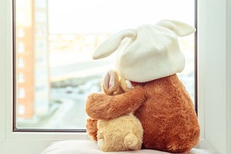 Best friends teddy bear and bunny toy sitting on window sill hugging each other and looking out of window. Love, family and friendship concept.の写真素材