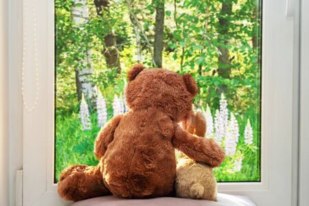 Best friends teddy bear and bunny toy sitting on window sill hugging each other and looking out of window on summer sunny day. Love, family and friendship concept. の写真素材