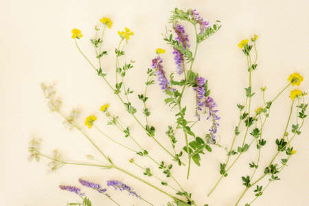 Flower pattern of wildflowers. Composition of flowers and plants. Top view. Floral abstract...