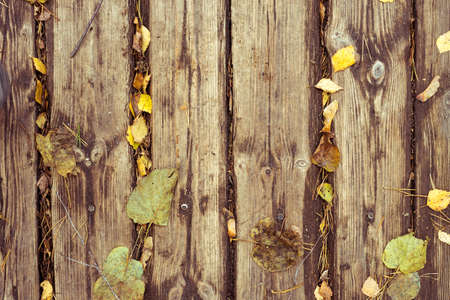 Natural wooden texture and autumn yellow fallen leaves. Vintage toning photo.の写真素材