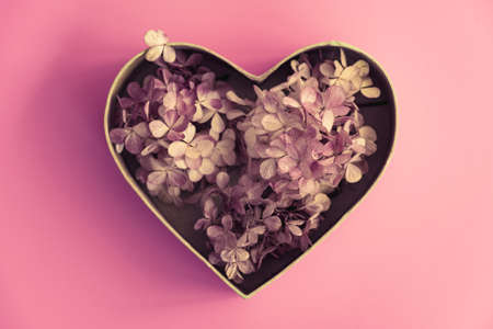 Heart-shaped box with blooming moth orchids, greeting card for Valentines, Mother's or International...