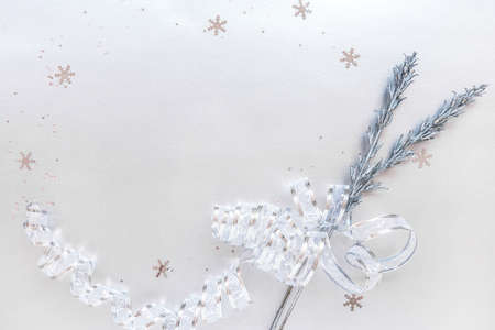 Christmas and New Year card with silver twigsの写真素材