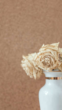 Dry rose flower in blossom against cork copy spaceの写真素材