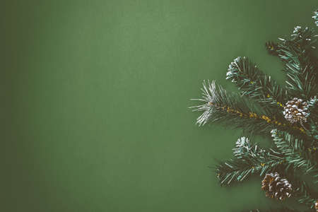 Green christmas background with fir branch and vintage glass toy