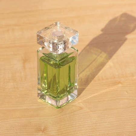 Sun rays falling on lush perfumeの写真素材