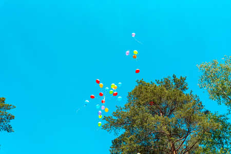 Helium balloons in a sunny blue skyの写真素材