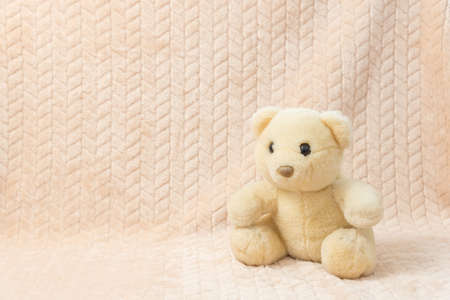 Beige teddy bear sit on the plush plaid.の写真素材