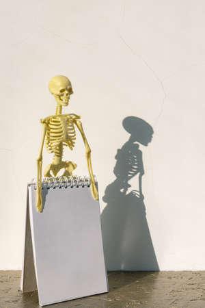 Skeleton and notebook on table, copy space, templateの写真素材