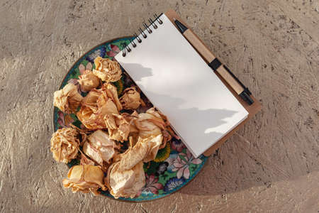 Dried Rose flowers On Old Vintage plate in sunlightの写真素材