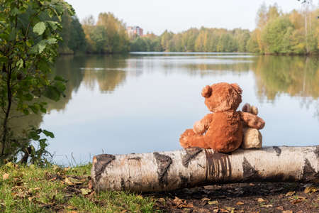 Teddy bear and bunny sit and cuddle on the shore of a forest lakeの写真素材