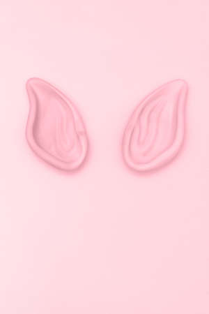 Pink artificial elf ears party accessoriesの写真素材