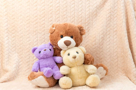 Cute little stuffed toys as studio decorationの写真素材