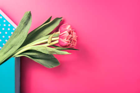 Floral elegant fresh composition of plantsの写真素材