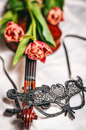 Musical instrument and masquerade carnival maskの写真素材