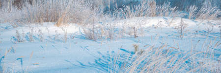 Winter field with dried grass covered with snow and frost on a sunny frosty day.