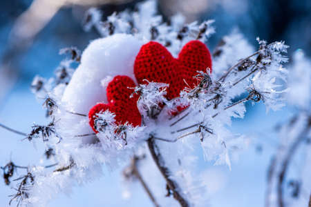 Red heart on the snow. Background Valentines day , place for text, love heartの写真素材