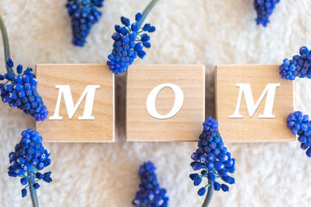 Word Mom on blocks and blue muscari flowers on fluffy fabricの写真素材