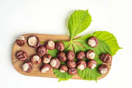 Board with chestnut fruits and green leaf lie on white backgroundの写真素材