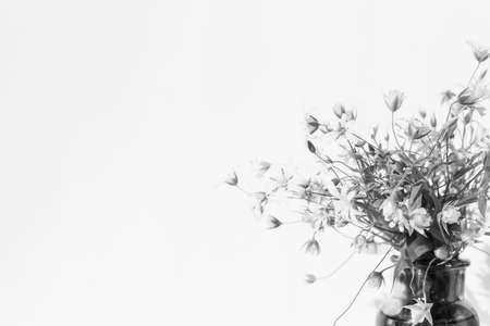 Spring bouquet from wild flowers on black and white photo.の写真素材