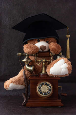Funny teddy bear with academic cap sits on vintage telephone
