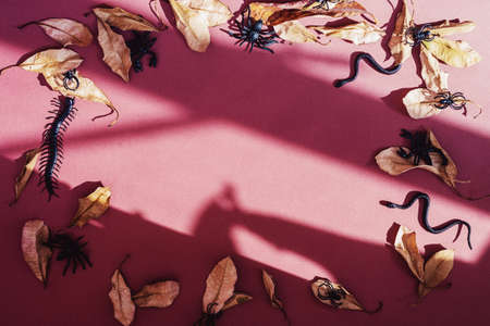 Frame of autumn leaves and rubber insects on pink background