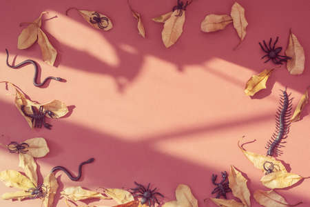 Oval frame made of dry autumn leaves and spooky rubber insects on pink backgroundの写真素材