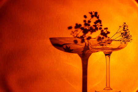 Flower twig in champagne glass illuminated by spotlight beamの写真素材