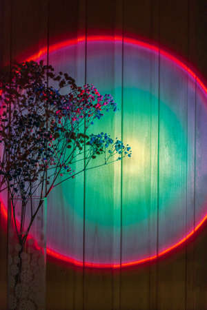 Street lantern light illuminates silhouette of flower twigsの写真素材