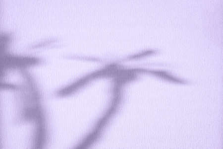 Nature tropical plant leaves tree branch shade with sunlight on wall texture and toned in lilacの写真素材