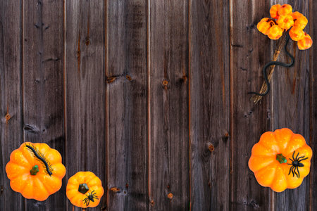 Halloween decorations spider and snake on wooden brown background. Halloween concept. Flat lay, top view, copy spaceの写真素材