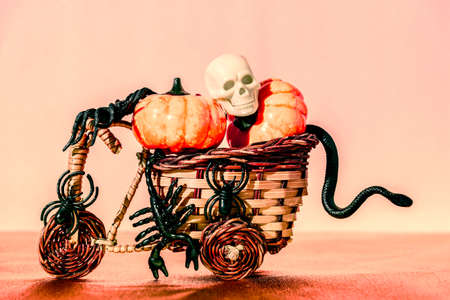 Composition of pumpkins, spiders and snakes with a human skull. Halloween concept. Blank for party invitation, greeting card or promotional flyerの写真素材