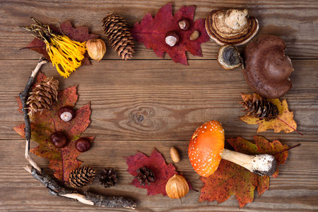Frame made with death cap and forest items on wooden table