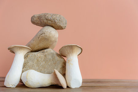 Composition of natural stones and oyster mushrooms on orange backgroundの写真素材