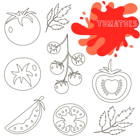 Set of fresh healthy red tomatoes made in line style. Great for design of healthy lifestyle or diet. Single tomato, half a tomato, a slice of tomato, cherry tomato. Vector illustration.のイラスト素材