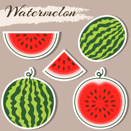 Set of fresh ripe watermelon. Single watermelon, half a watermelon, a slice of watermelon. Summer concept. Watermelon vector illustration. Sticker watermelonのイラスト素材