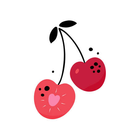 Ripe cherry, half cherry on a white background. Vector illustration