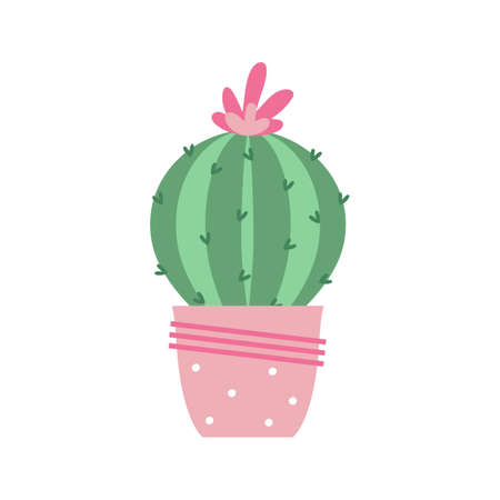 Colorful cactus plant with flowers in colored potsのイラスト素材