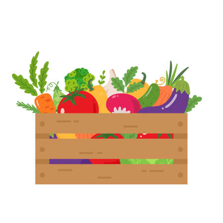 Fresh and organic vegetables in wooden boxのイラスト素材