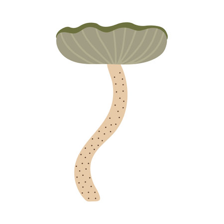 Hand drawn cute vector illustration of fungusのイラスト素材