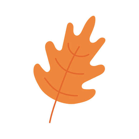 Cute autumn leaf isolated on white backgroundのイラスト素材