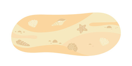 Exotic empty beach with sea stars and seashellsのイラスト素材
