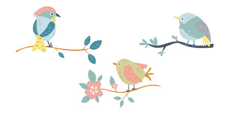 Set of funny birds on tree branchのイラスト素材