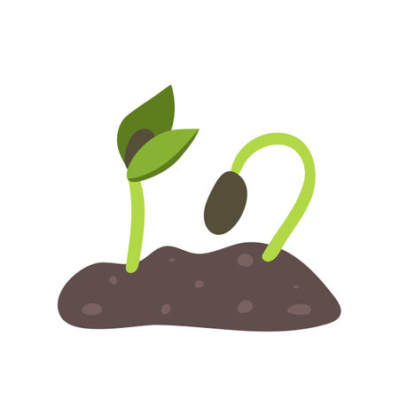 Young sprout plant sunflower in soil with leavesのイラスト素材