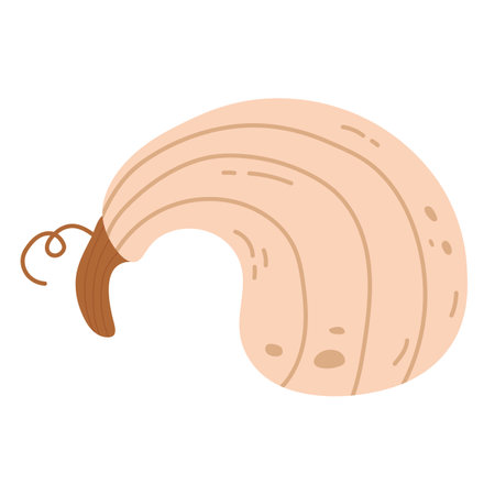 Funny hand drawing pumpkin vegetable flat iconのイラスト素材