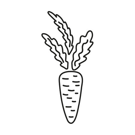 Carrot fresh vegetable healthy food doodle iconのイラスト素材