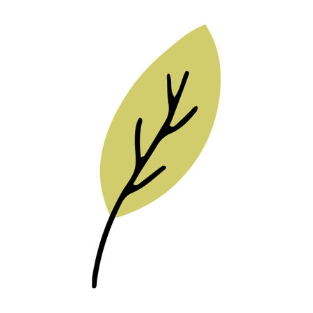 Hand drawn leaf for autumn designのイラスト素材