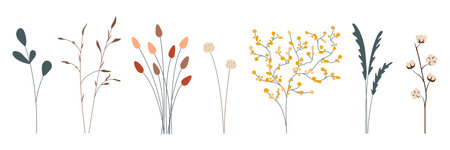 Vector set of hand drawn boho plantsのイラスト素材